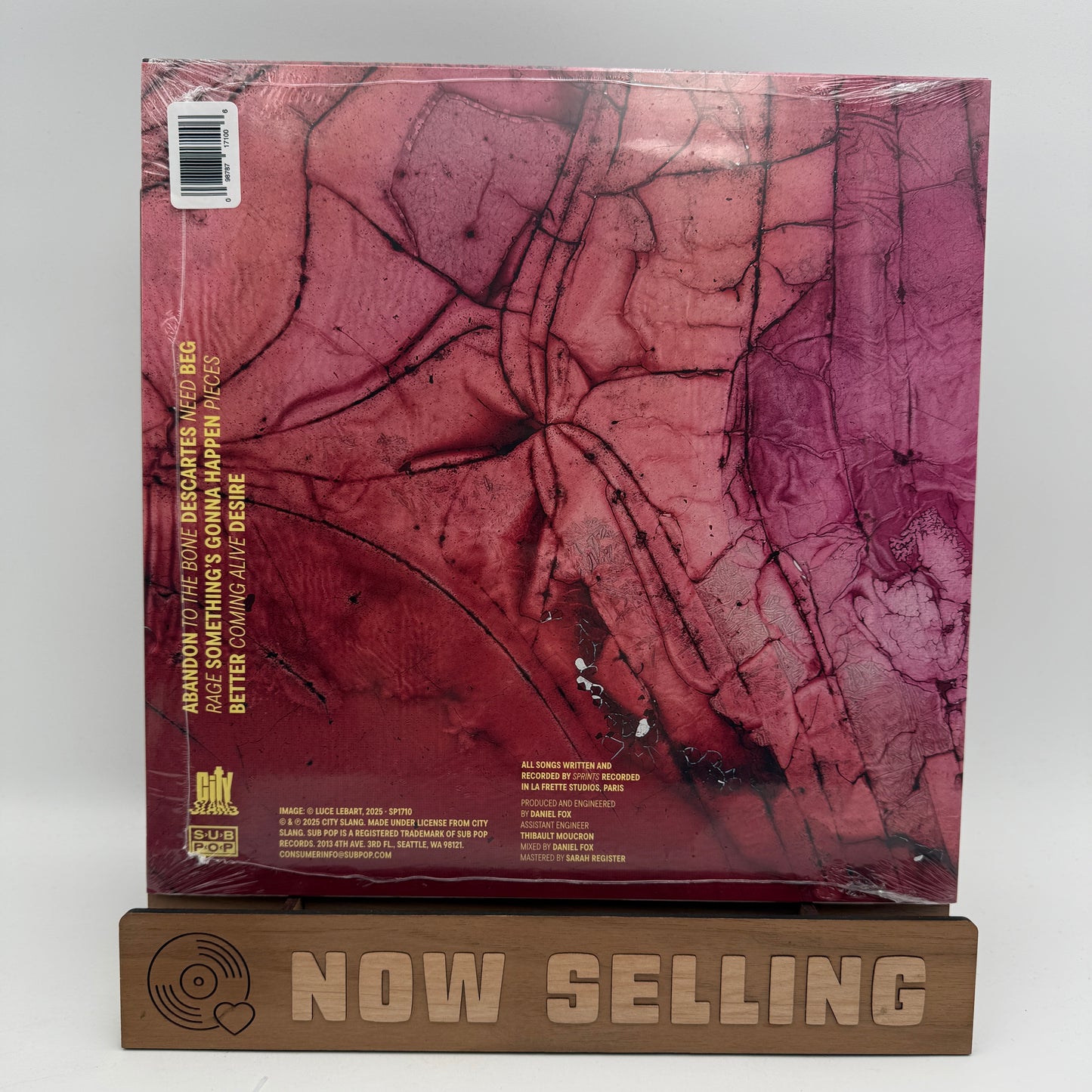Sprints Band - All That Is Over Vinyl LP Loser Edition Pink Marble SEALED