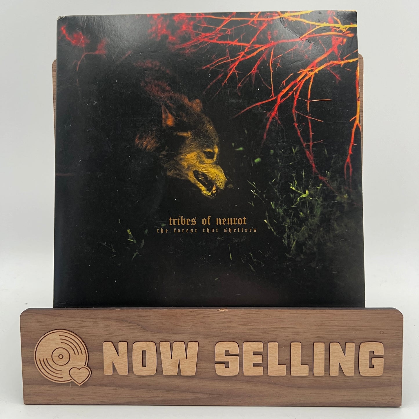 Tribes Of Neurot / Earth - The Forest That Shelters / Filament Vinyl 7" Clear
