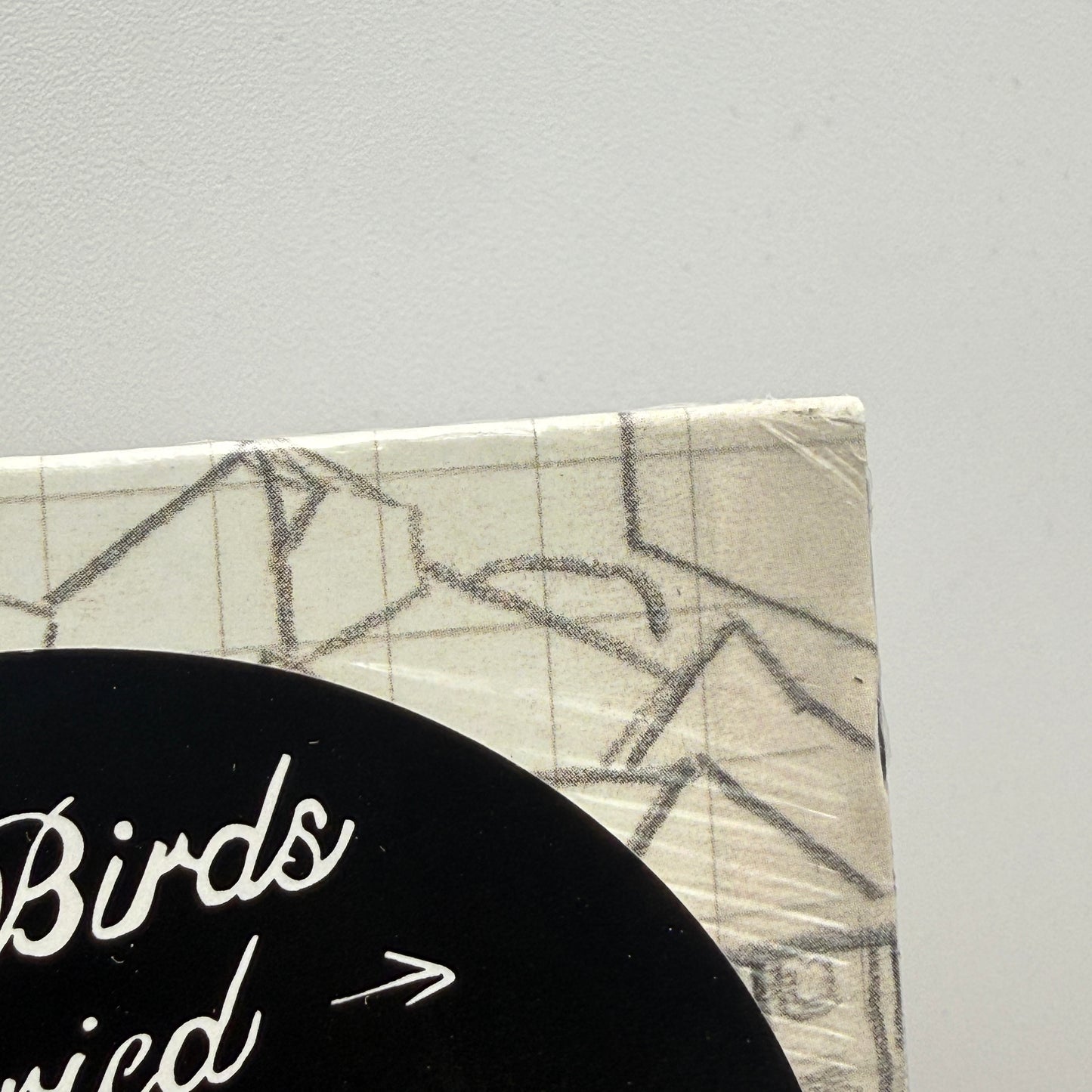 Kills Birds - Married Vinyl LP Milky Translucent SEALED