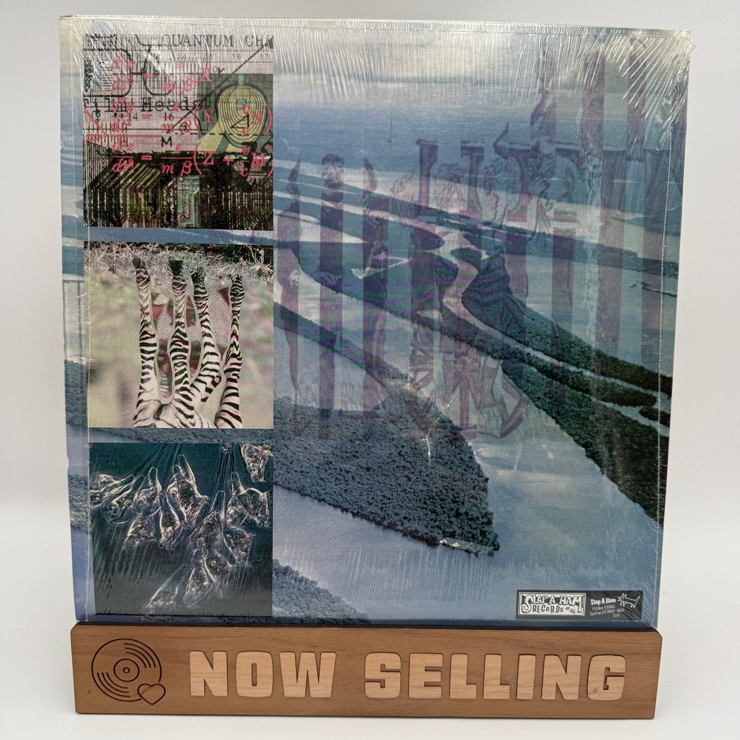 Gasp - Drome Triler Of Puzzle Zoo People Vinyl LP Black