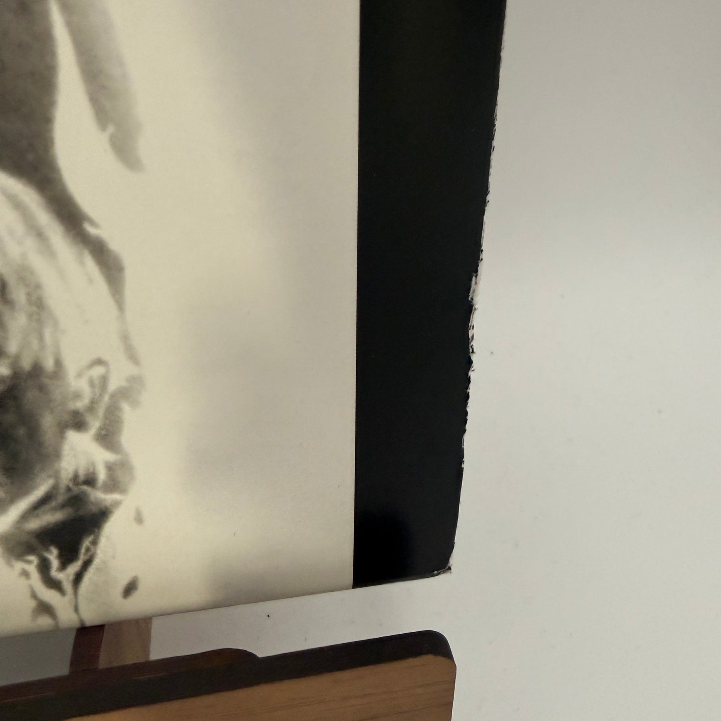 Jimmy Gnecco - The Heart Vinyl LP 180 Gram OURS