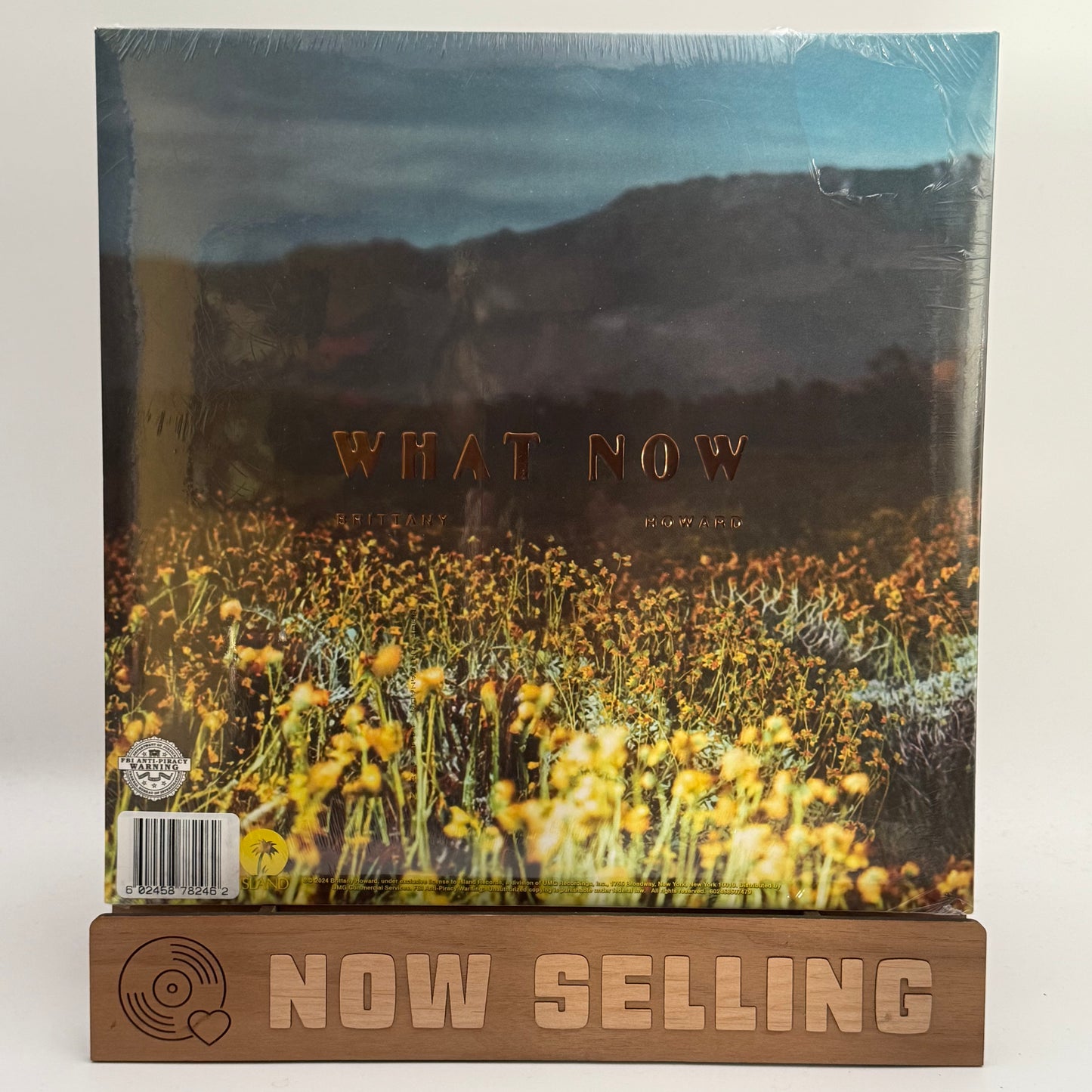 Brittany Howard - What Now Vinyl LP Transparent Light Blue SEALED