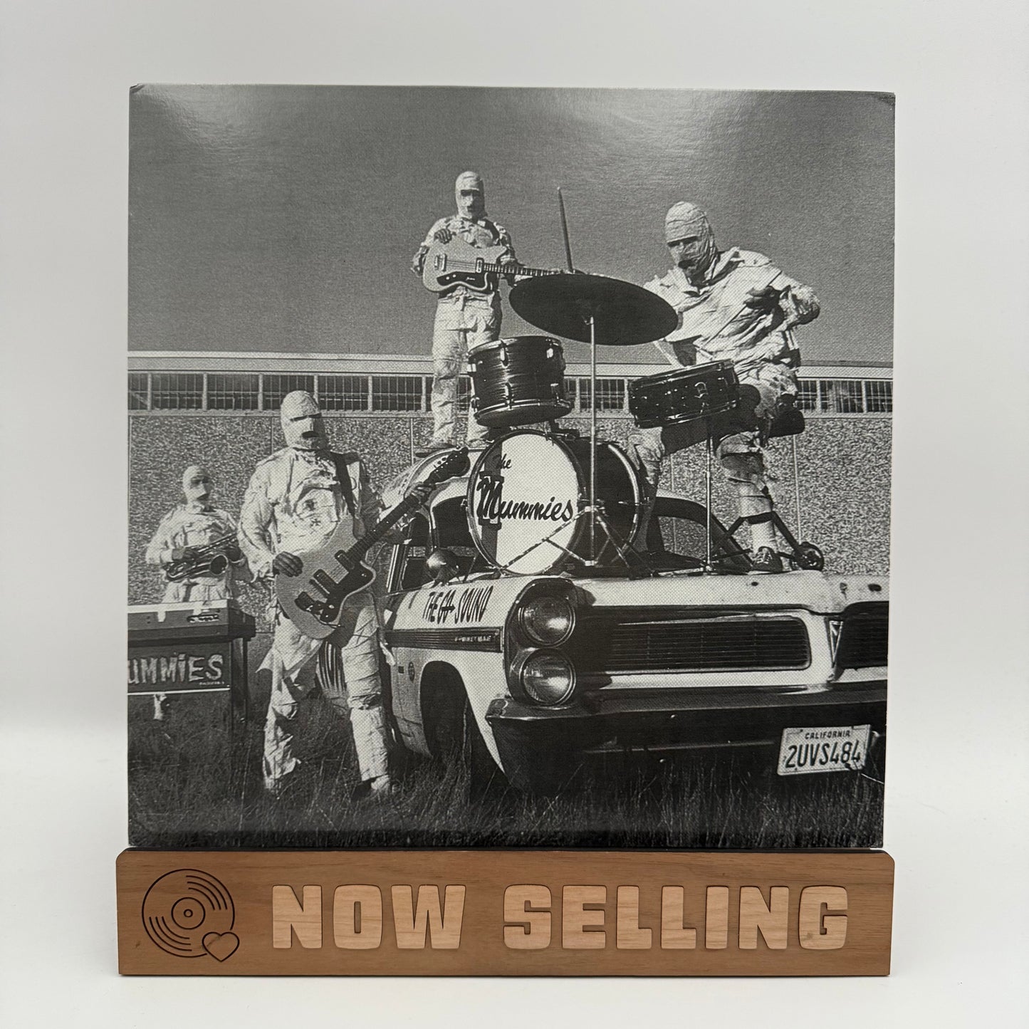 The Mummies - Never Been Caught Vinyl LP Mono 2010 Reissue