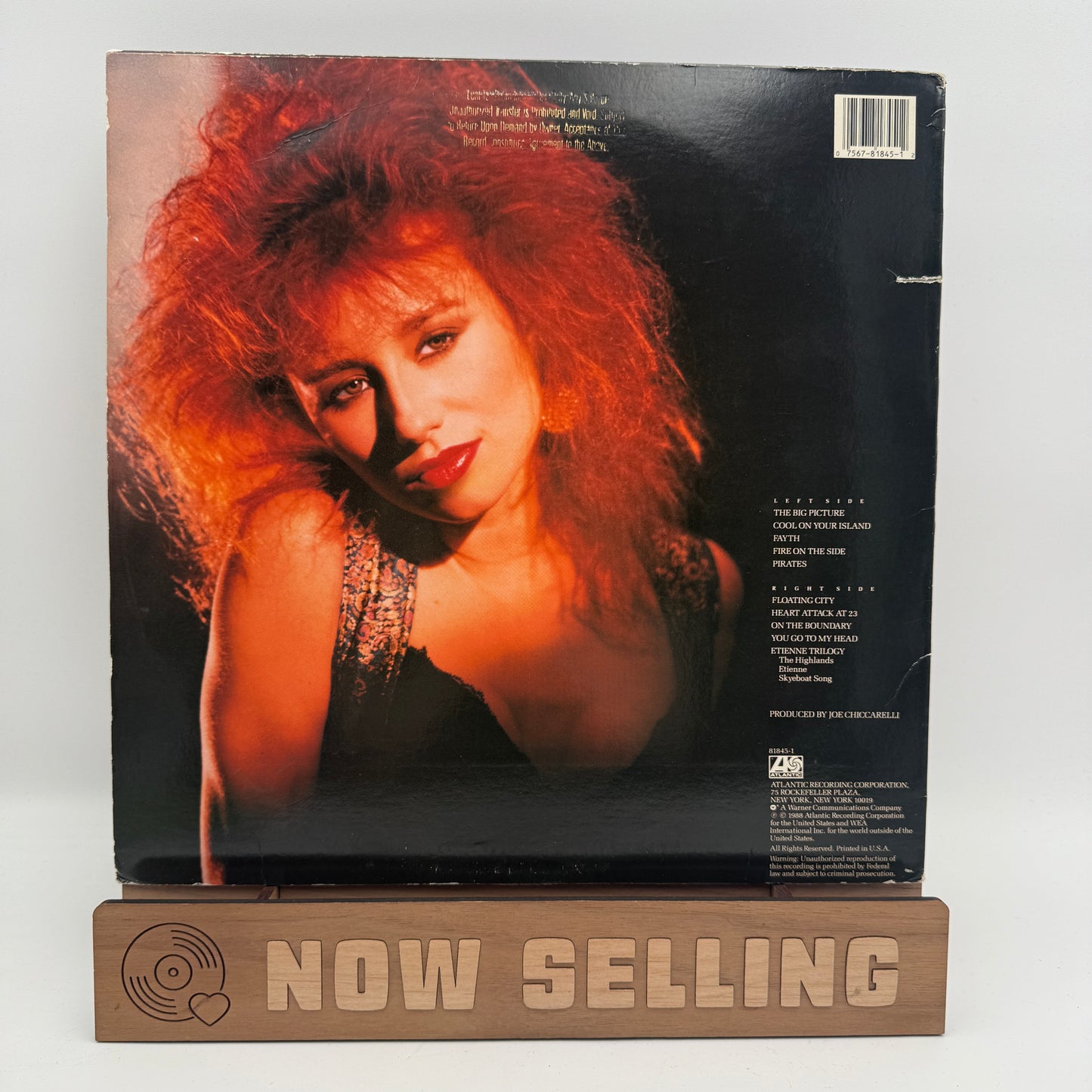 Y Kant Tori Read - Y Kant Tori Read Self Titled Vinyl LP Original 1st Press Gold Promo Stamp Tori Amos