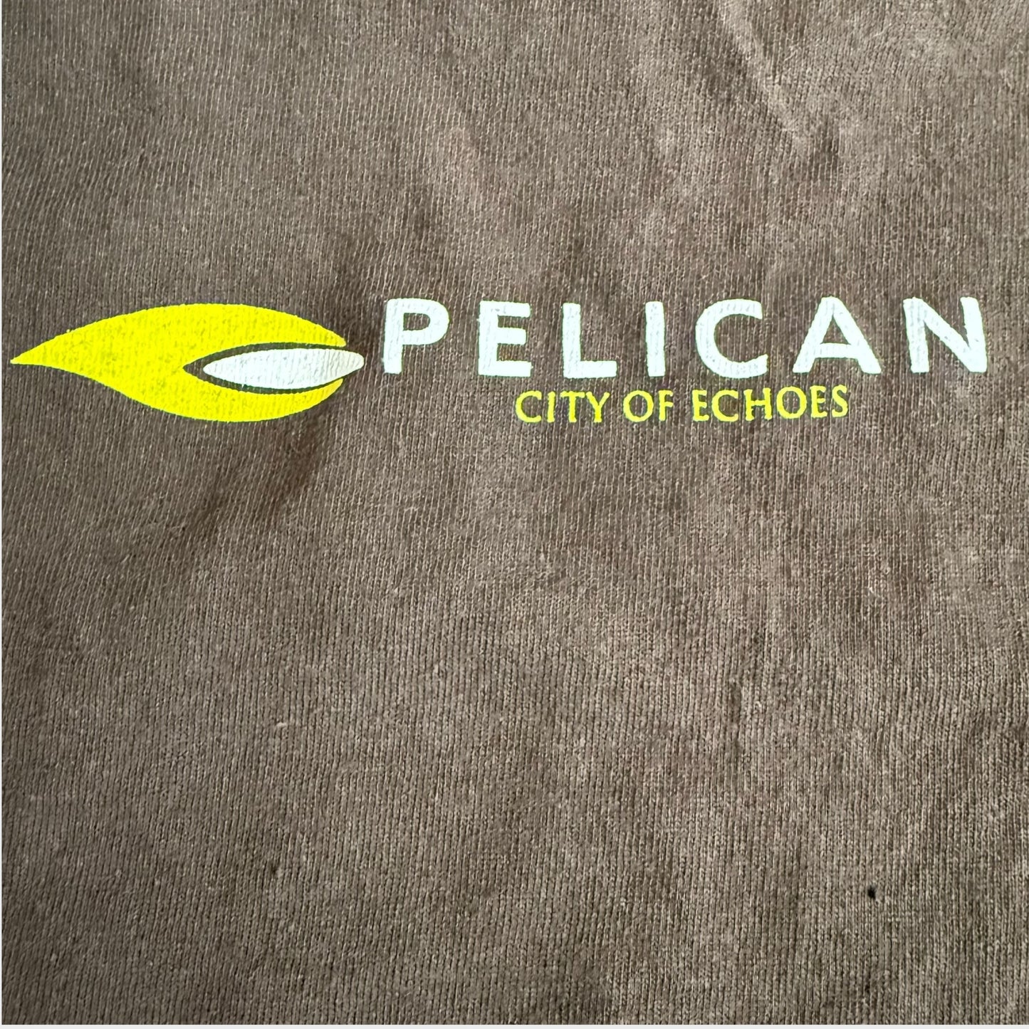 Pelican Band City Of Echoes - Silhouettes Brown T-Shirt Size M