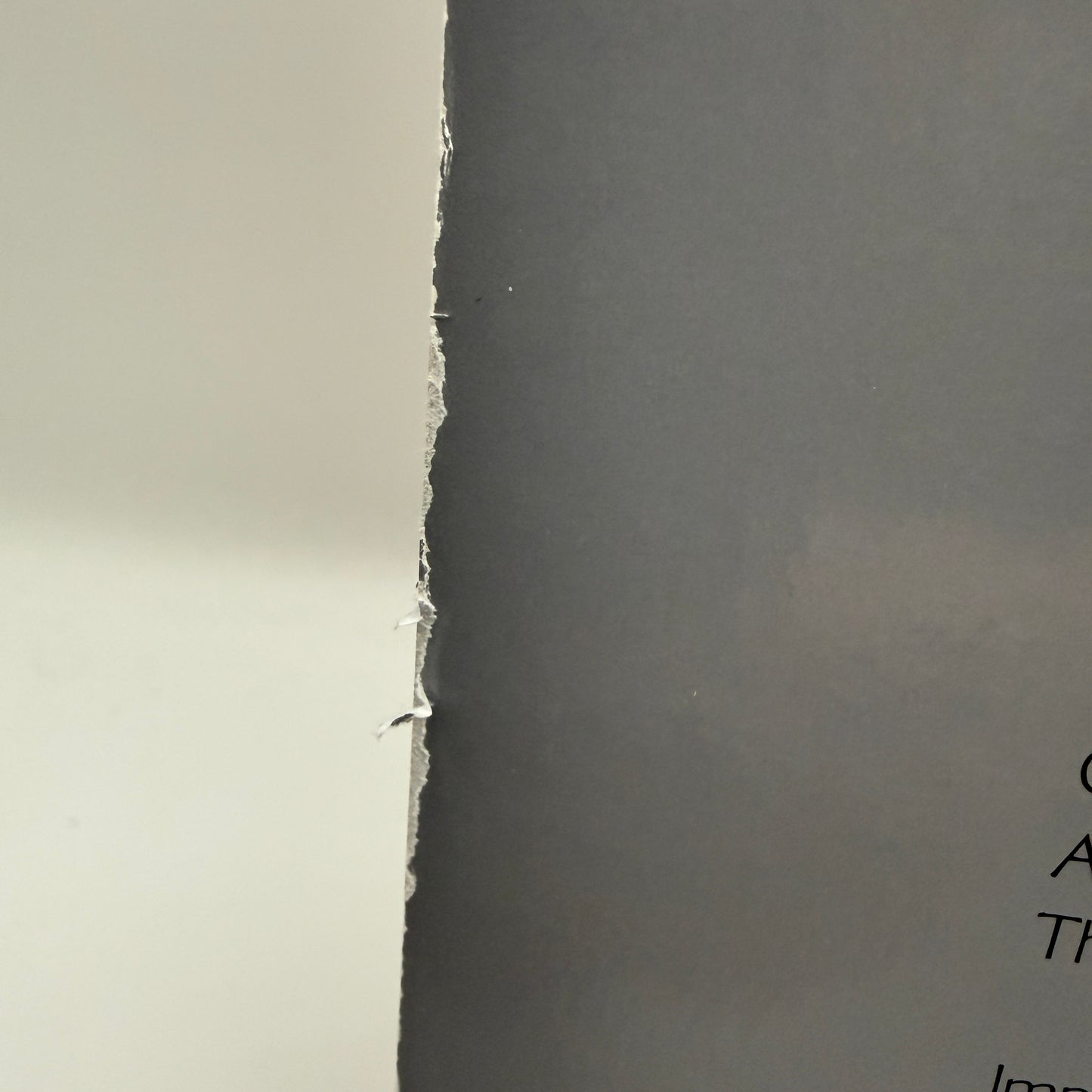 OM - Conference Live Vinyl LP Sleep Band Al Cisneros