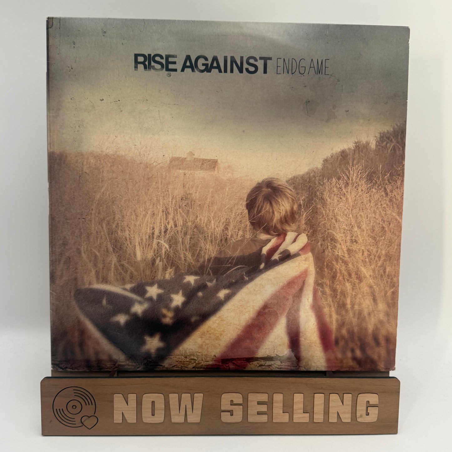 Rise Against - Endgame Vinyl LP 180 Gram Black Original 1st Press