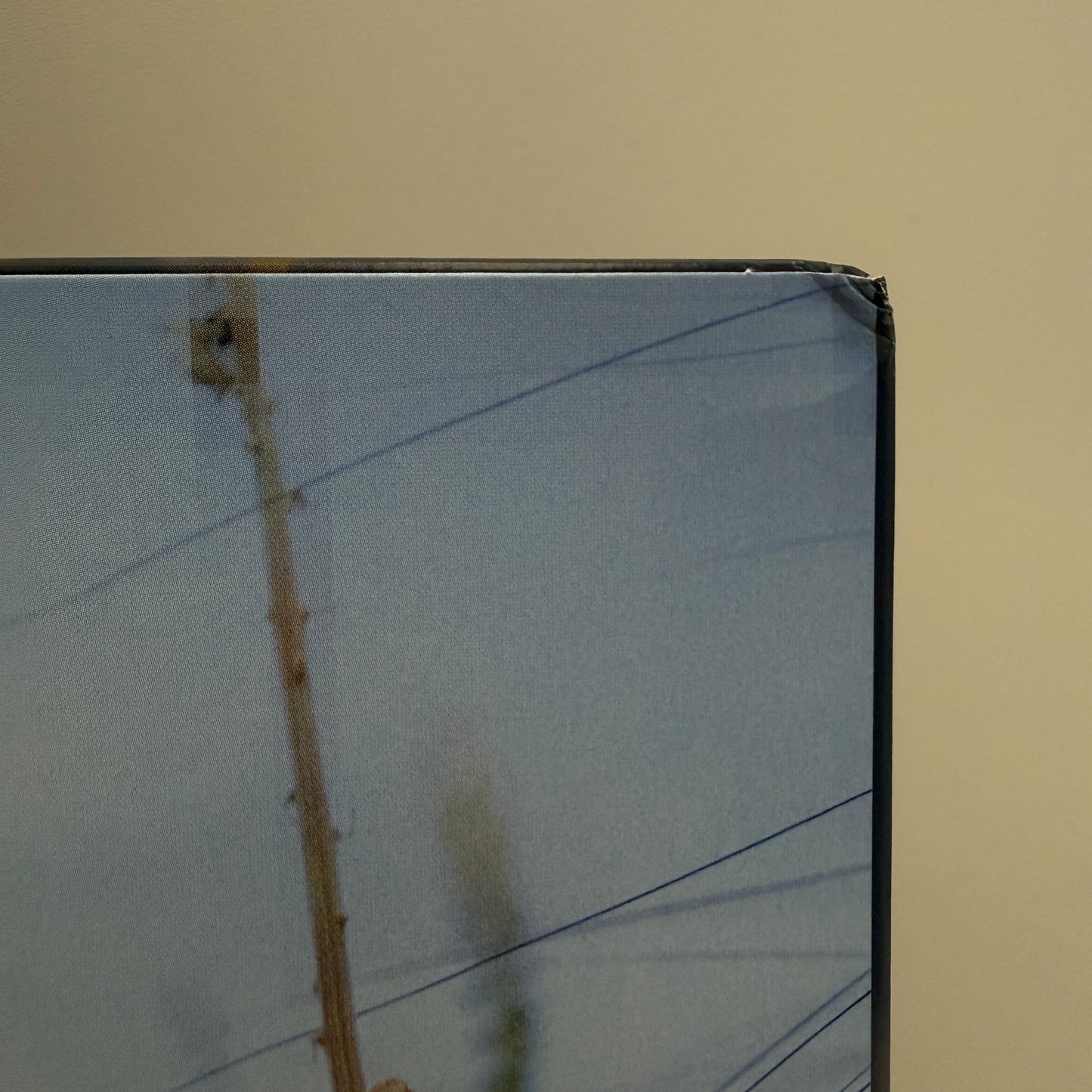 Art Star - Big Mouth Singers Vinyl LP Eco Mix