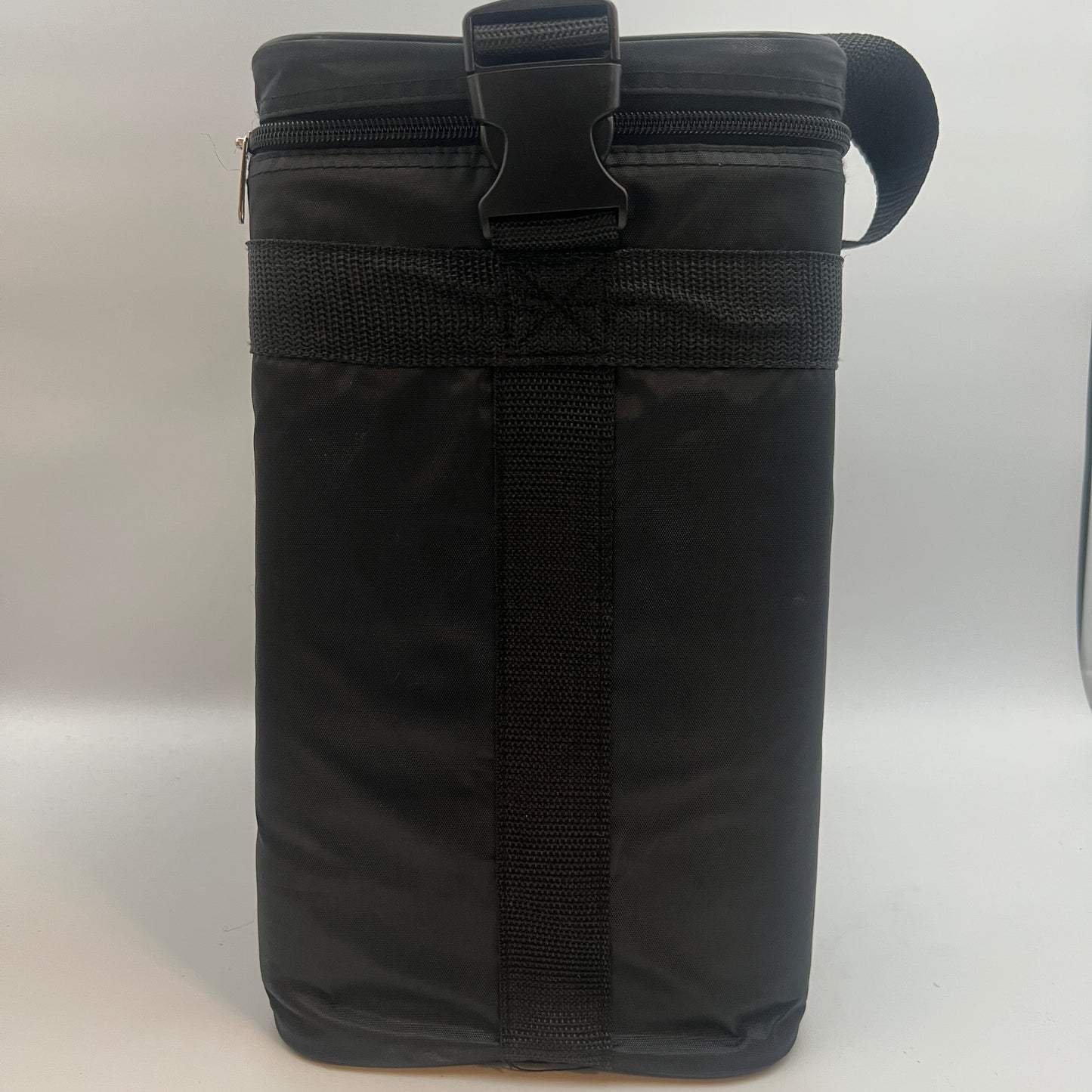 Vinyl Styl Padded Carrying Case for Records and Portable Turntables
