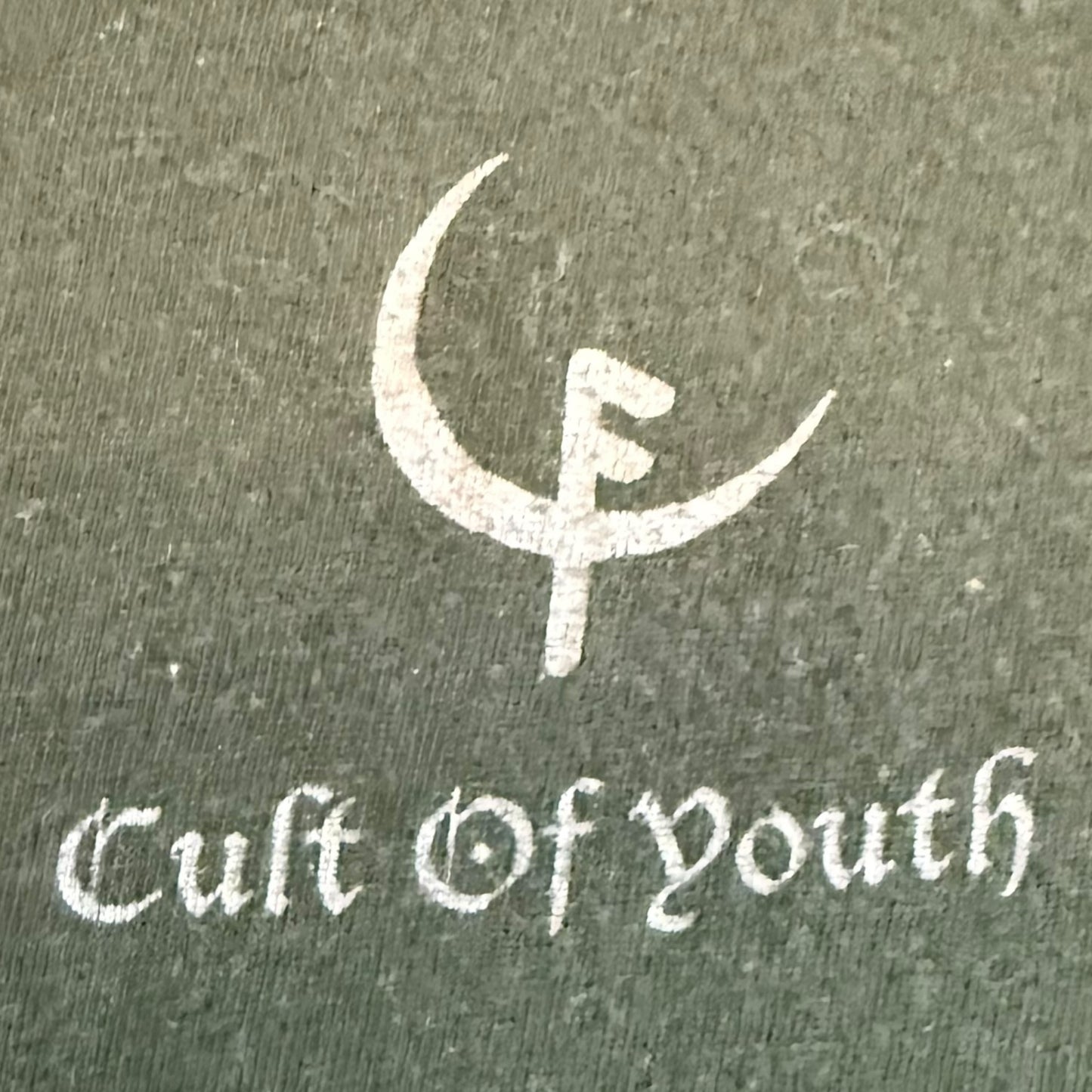 Cult Of Youth Band A Stick To Bind, A Seed To Grow 2008 Green T-Shirt Size M
