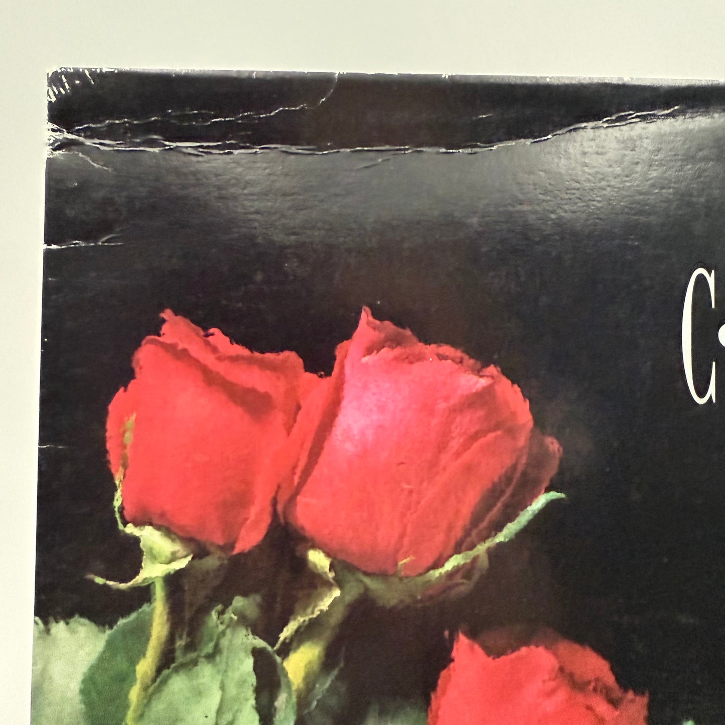 Concrete Blonde - Bloodletting Vinyl LP Red Original 1st Press