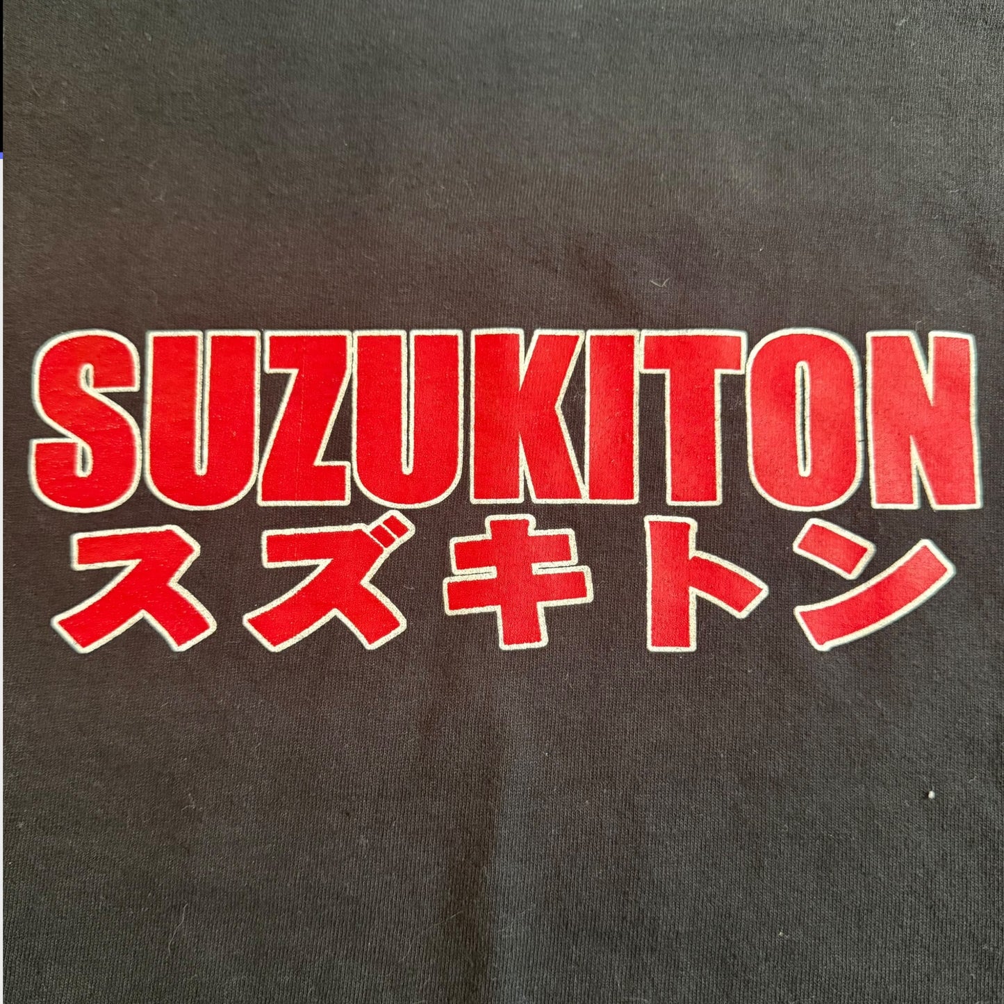 Suzukiton Band Vintage T-Shirt Size M Alabama Thunderpussy Volture