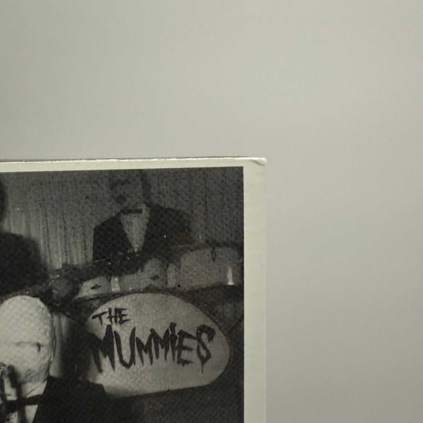 The Mummies - Never Been Caught Vinyl LP Mono 2010 Reissue