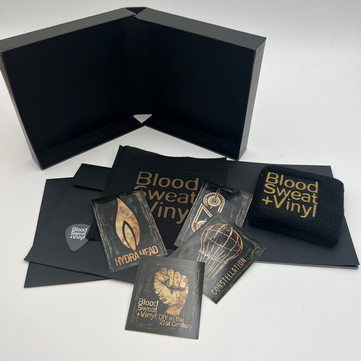 Blood, Sweat + Vinyl: DIY in the 21st Century 2 DVD Limited Edition Box Set w/ Extras