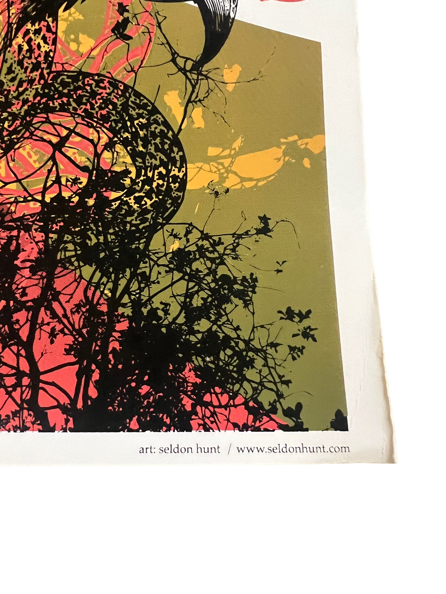 Isis The Band / Oxbow / Boris European Tour Poster 2007 19 x 25 inches Seldon Hunt