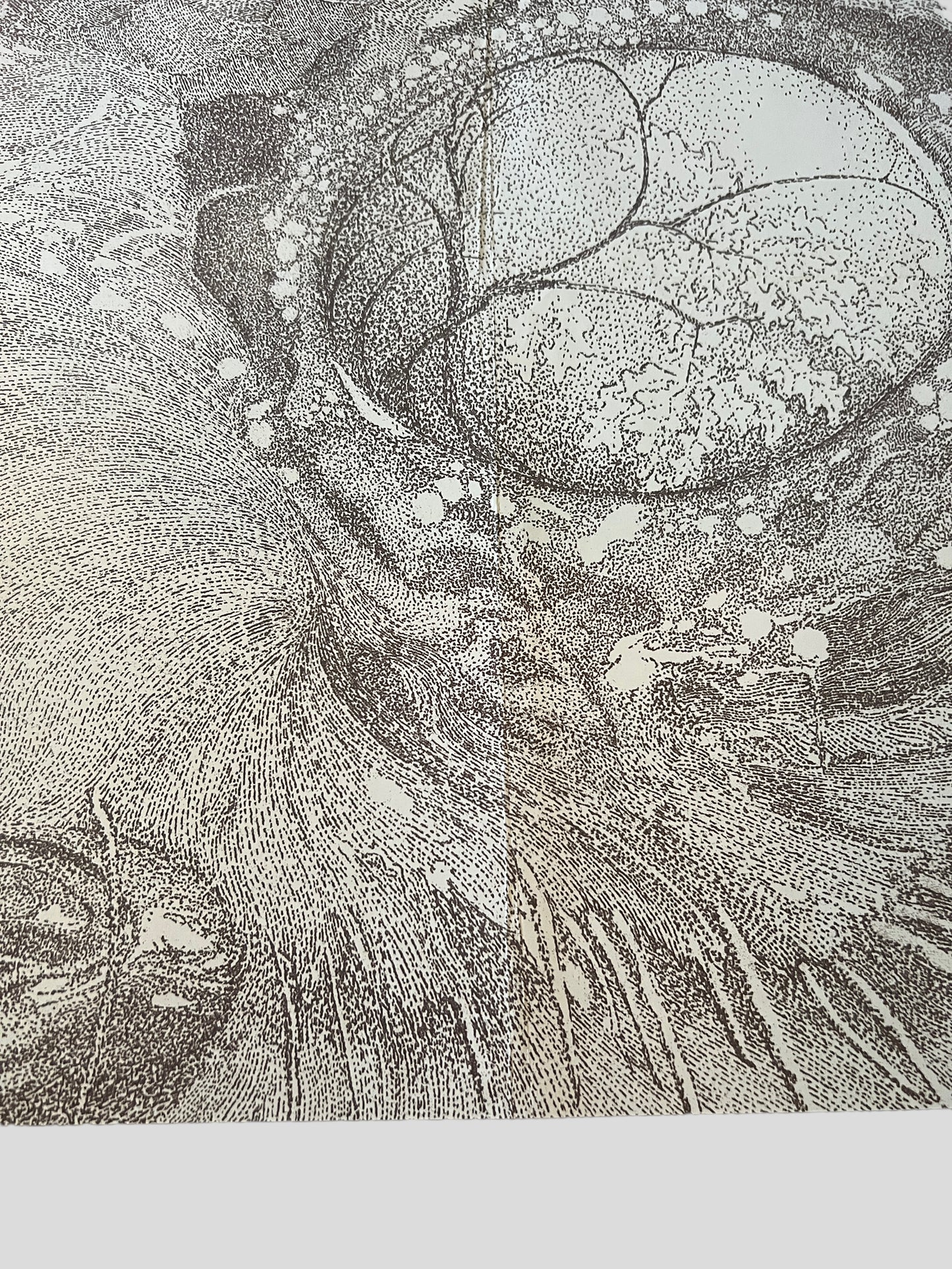Earth - A Bureaucratic Desire for Extra-Capsular Extraction 2010 Promo Poster 18 x 24 inches