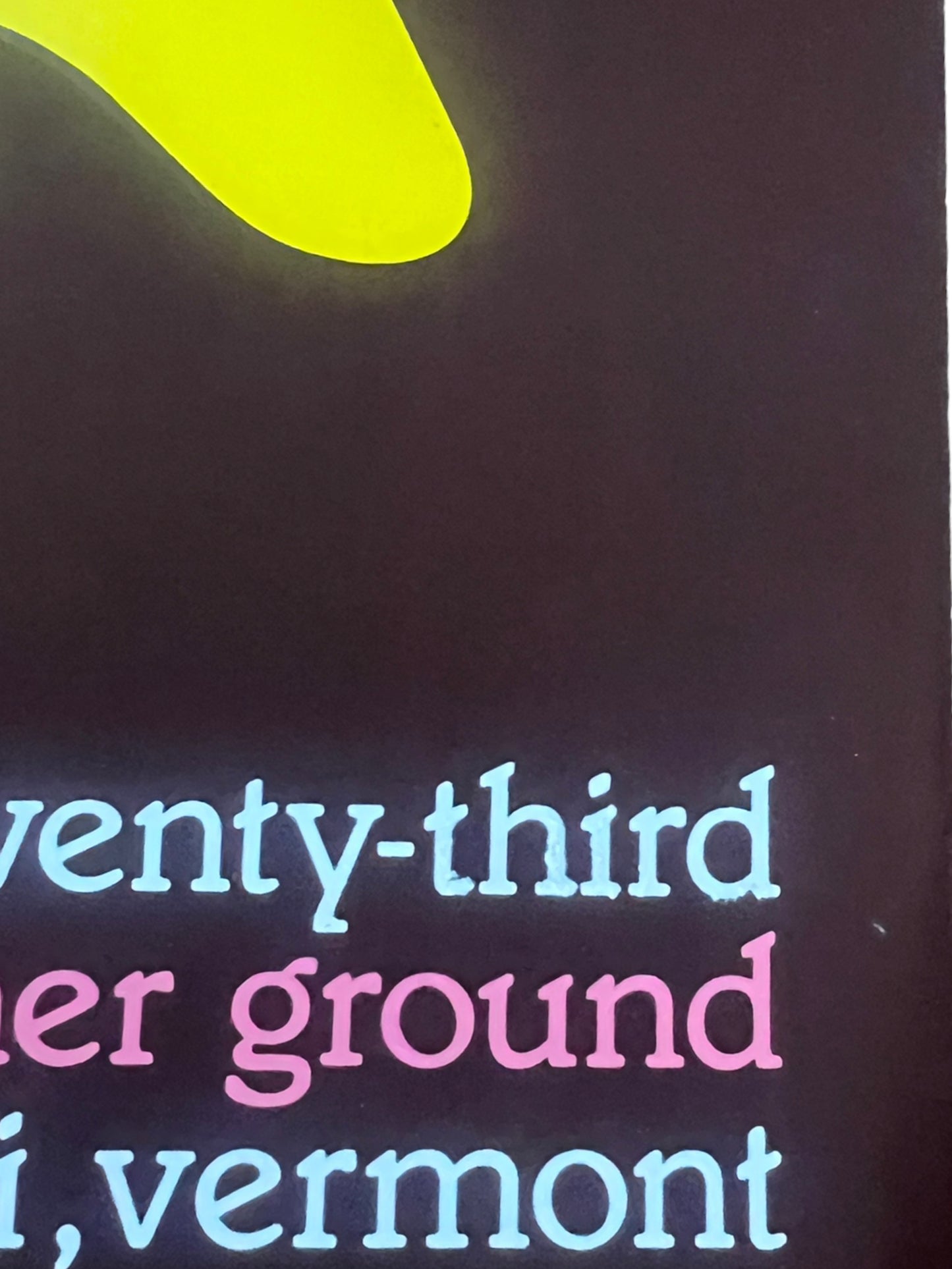Ween - Higher Ground Vermont Poster Vintage 1999 #155/200 18 x 21