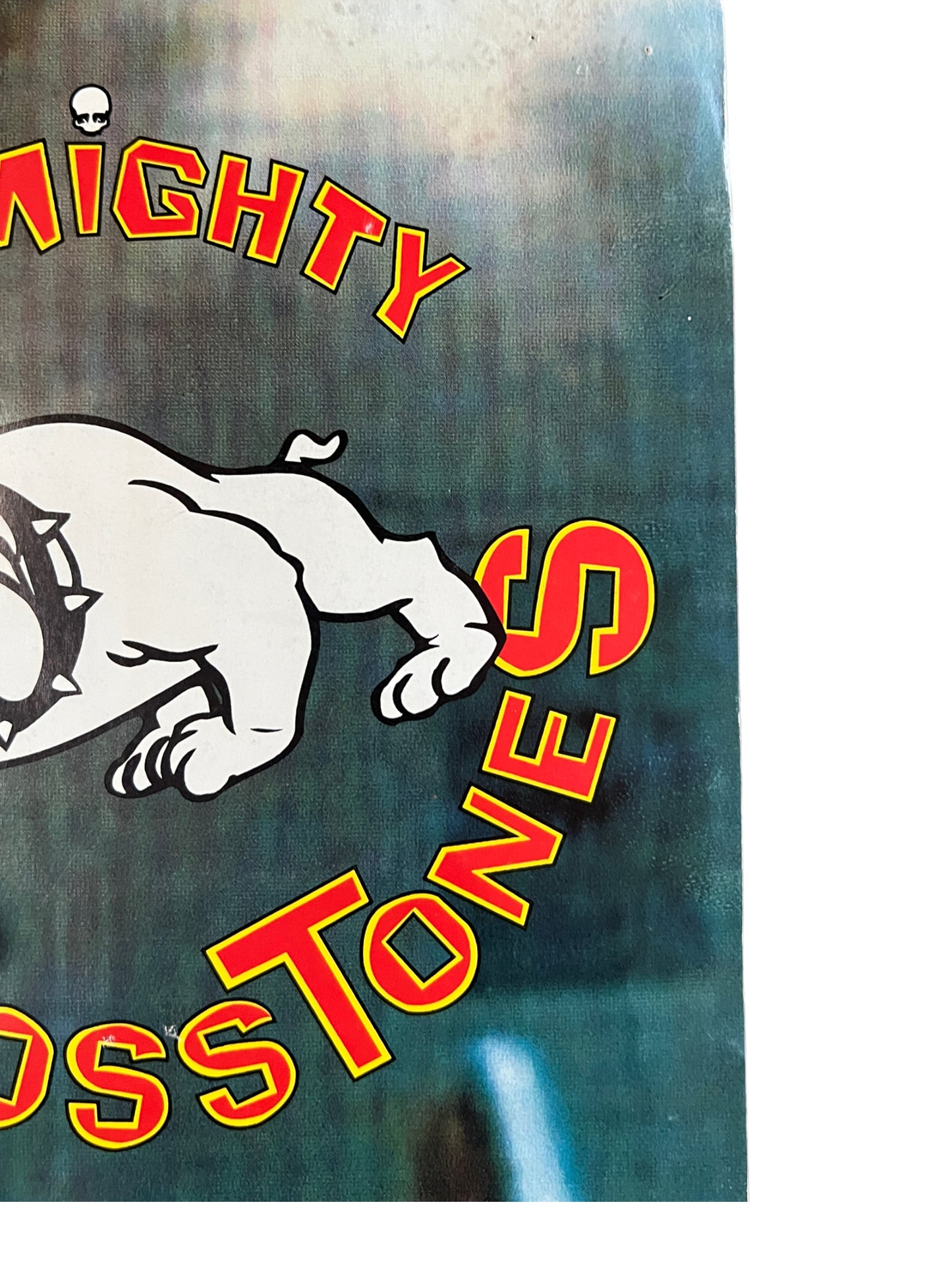 The Mighty Mighty Bosstones 1994 Tour Promo Poster 24 x 20 inches