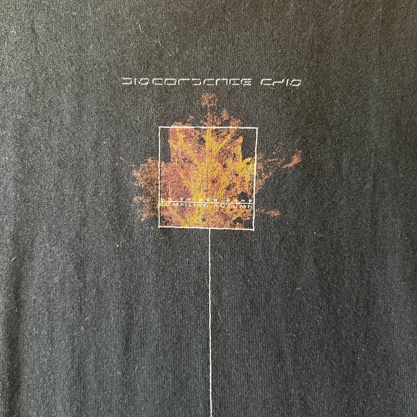 Discordance Axis Band Compiling Autumn 2000 Vintage T-Size Size M