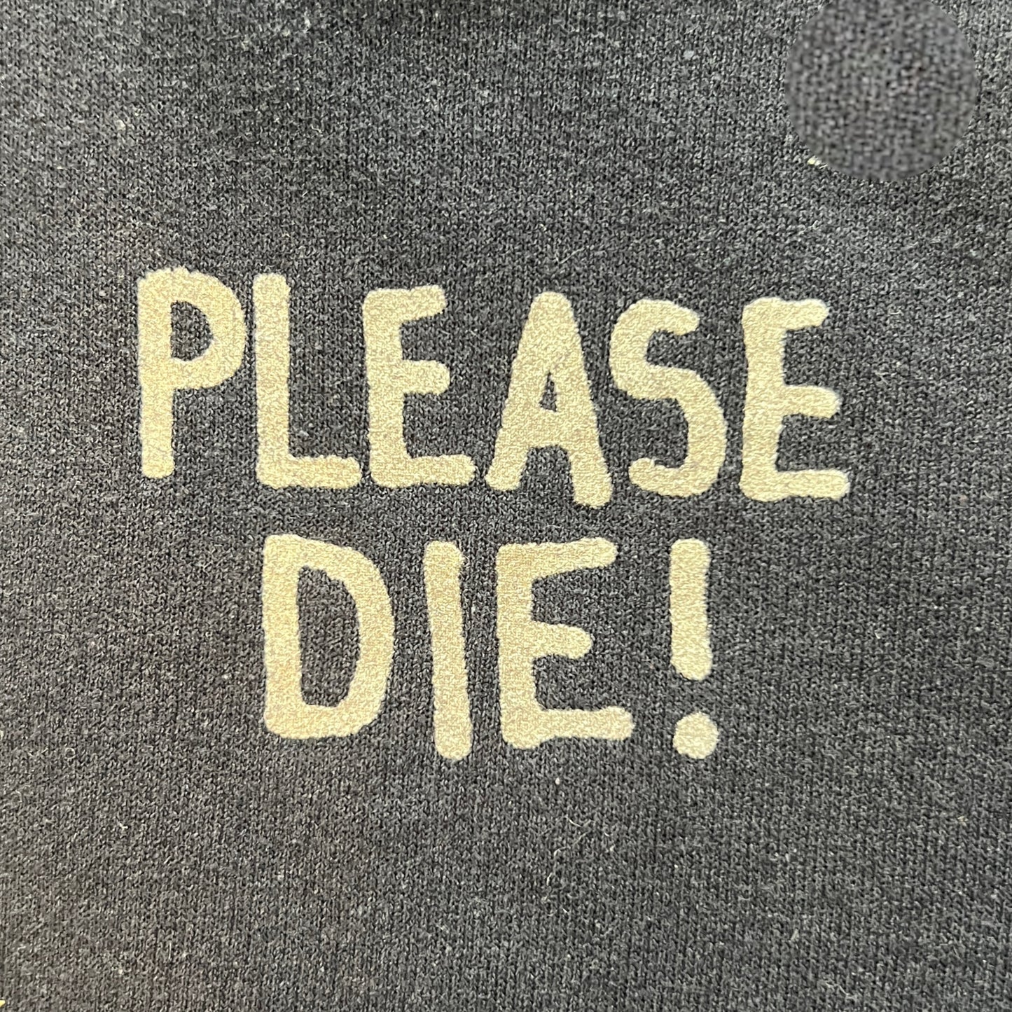 American Nightmare Band Please Die! Tour Pullover Hoodie Size Large Give Up The Ghost