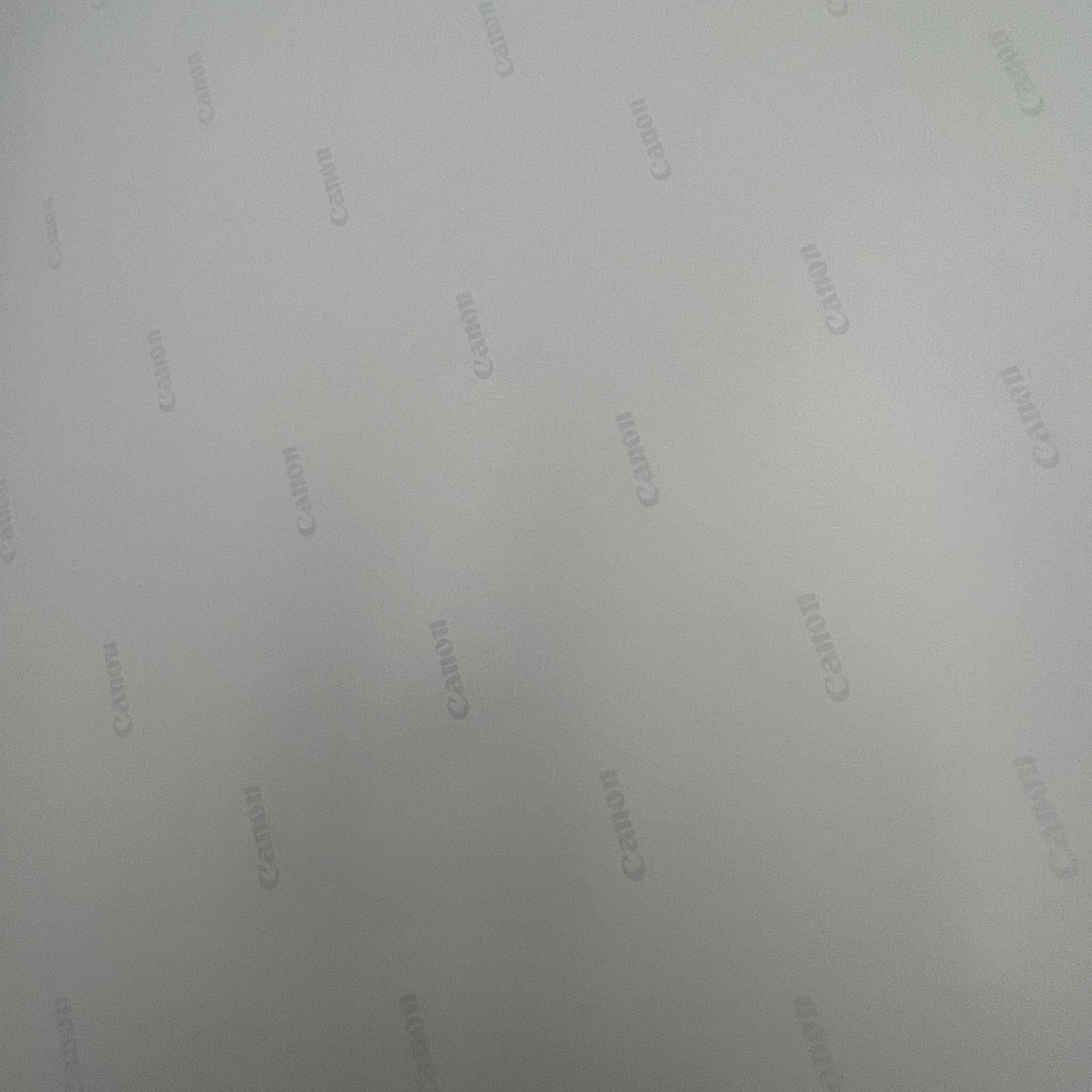 Daughters Band Photography Print Hell Songs 19x13 Andrew Weiss