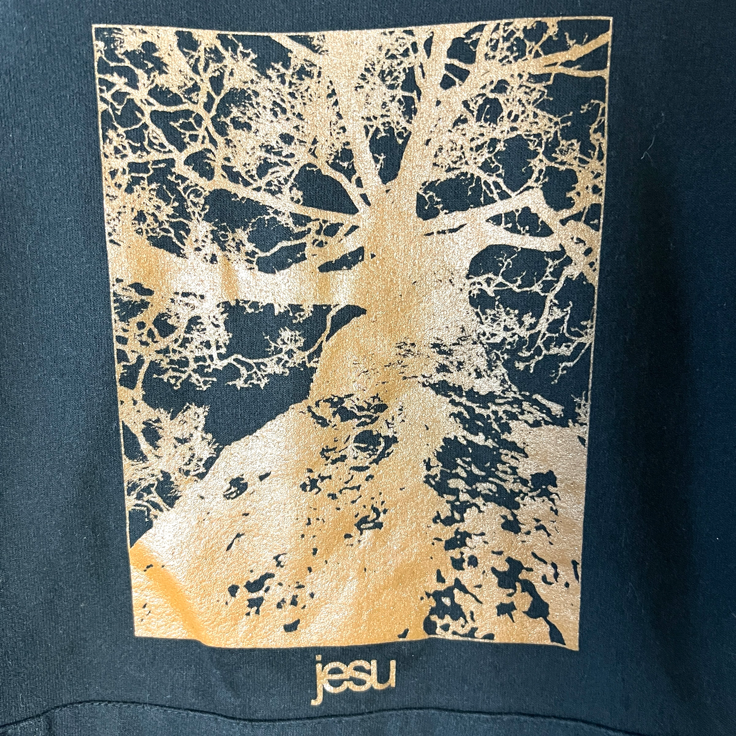 Jesu Self Titled Pullover Hoodie Size M Hydra Head 2004 Godflesh