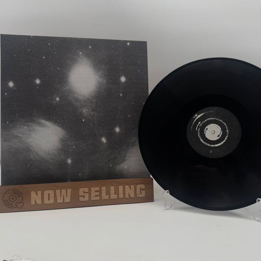 Grouper - A I A : Alien Observer Vinyl LP Reissue