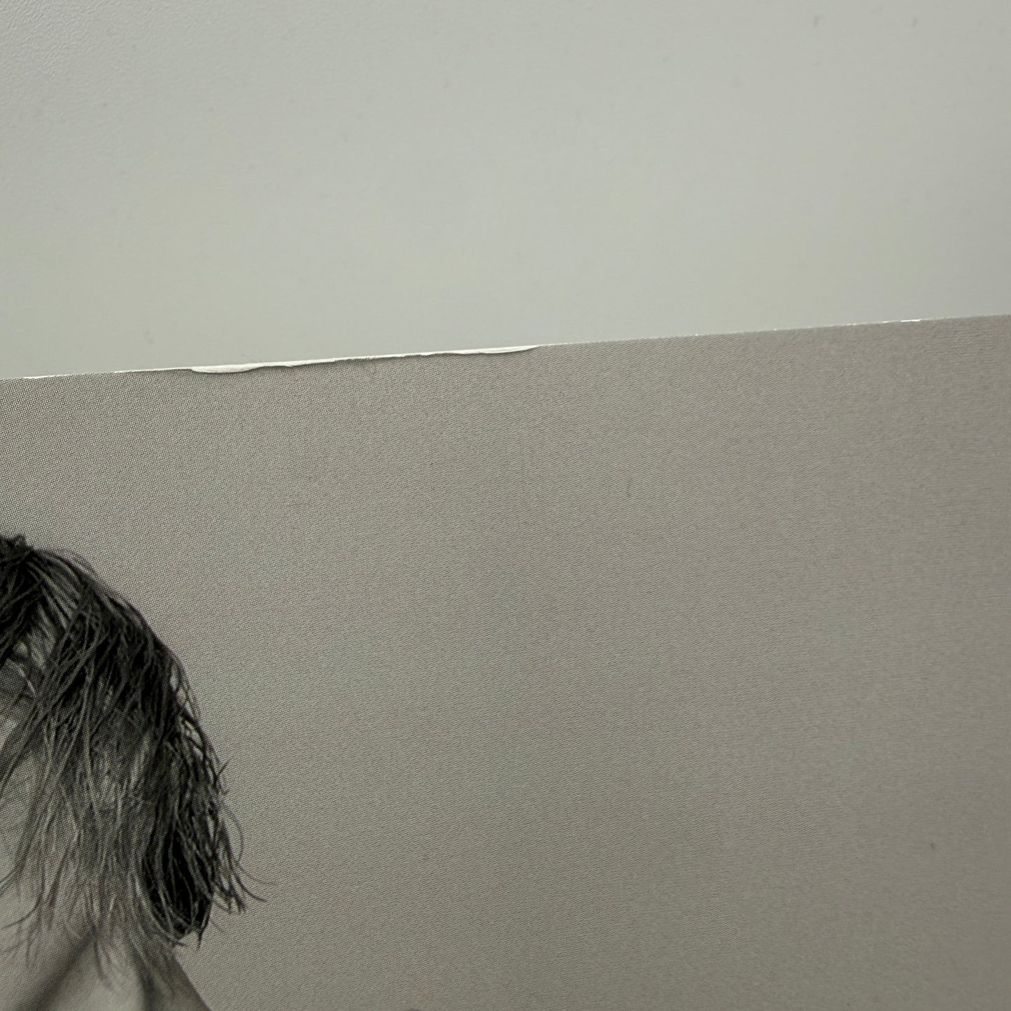 Carly Rae Jepsen - Dedicated Side B Vinyl LP SEALED w/ Signed Print