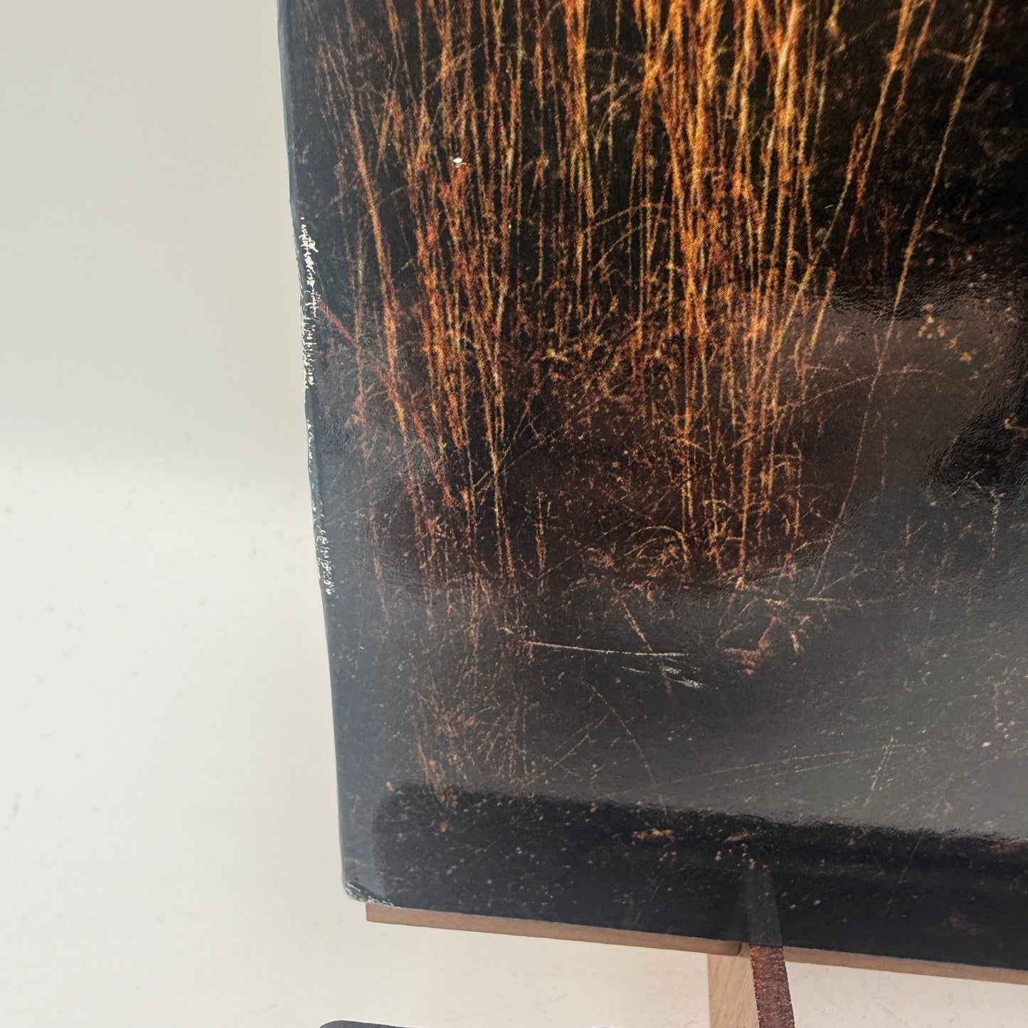 Holly Miranda - Mutual Horse Vinyl LP Test Press