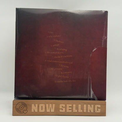 Aja Monet - When The Poems Do What They Do Vinyl LP SEALED [DING]
