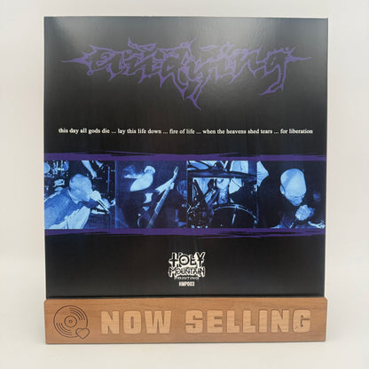 Undying - This Day All Gods Die Vinyl LP Reissue Clear Blue Purple Silver Splatter