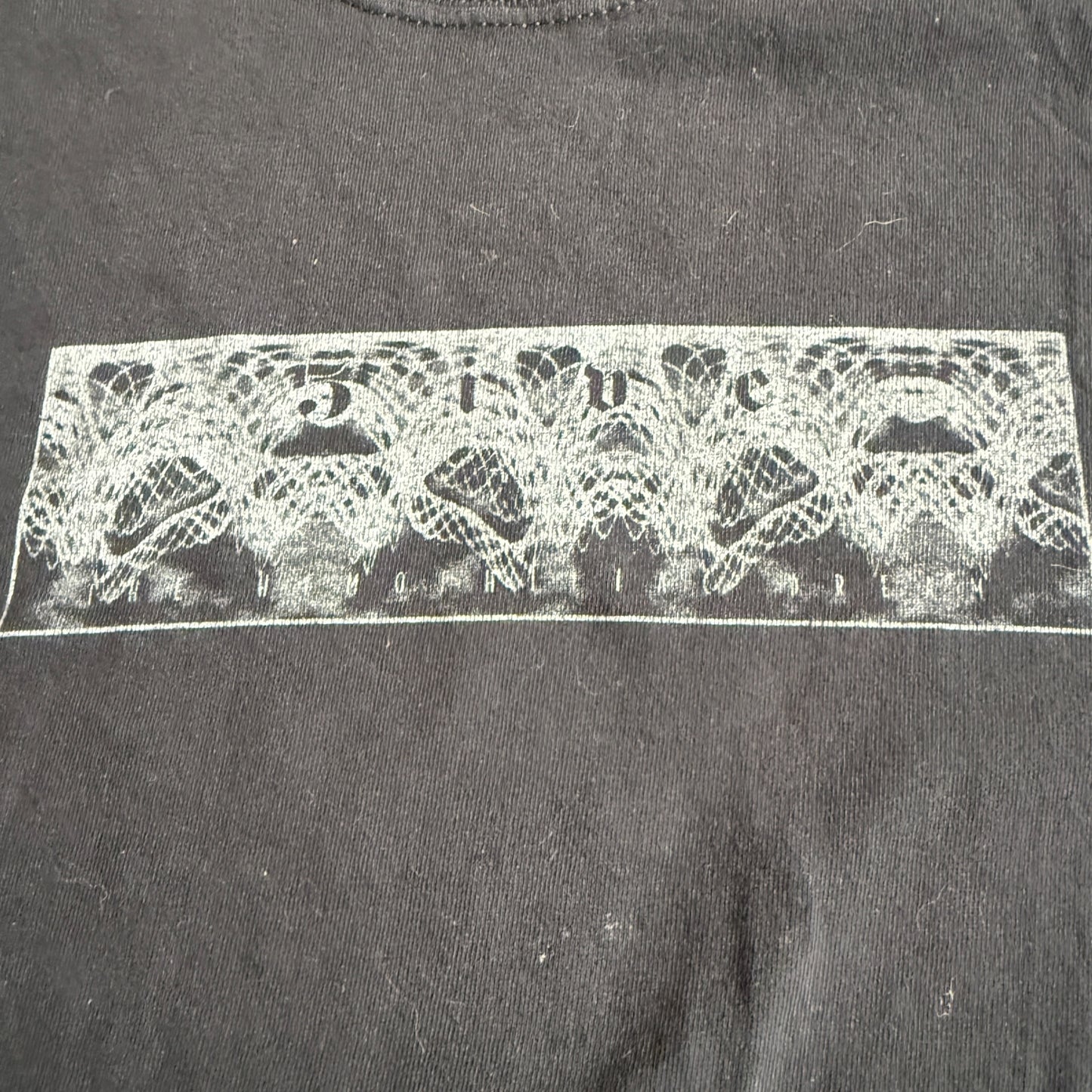 5ive's Continuum Research Project Band The Hemophiliac Dream 2002 Vintage T-Shirt Size M Palms Gozu ISIS The Band