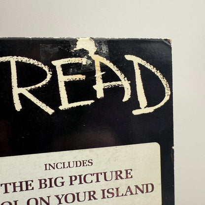 Y Kant Tori Read - Y Kant Tori Read Self Titled Vinyl LP Original 1st Press Gold Promo Stamp Tori Amos