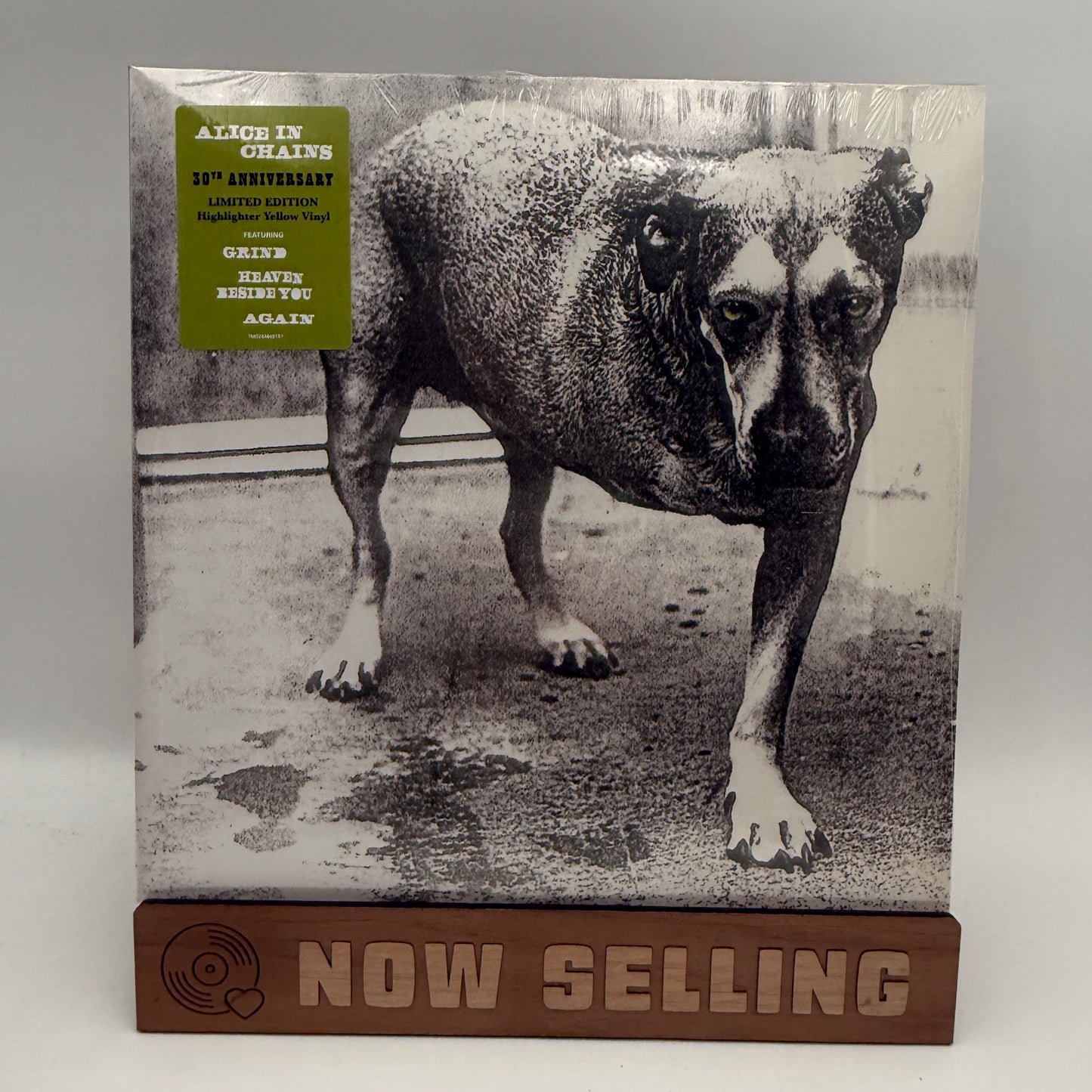 Alice In Chains - Alice In Chains Self Titled Vinyl LP Reissue Yellow Highlighter SEALED 30th Anniversary