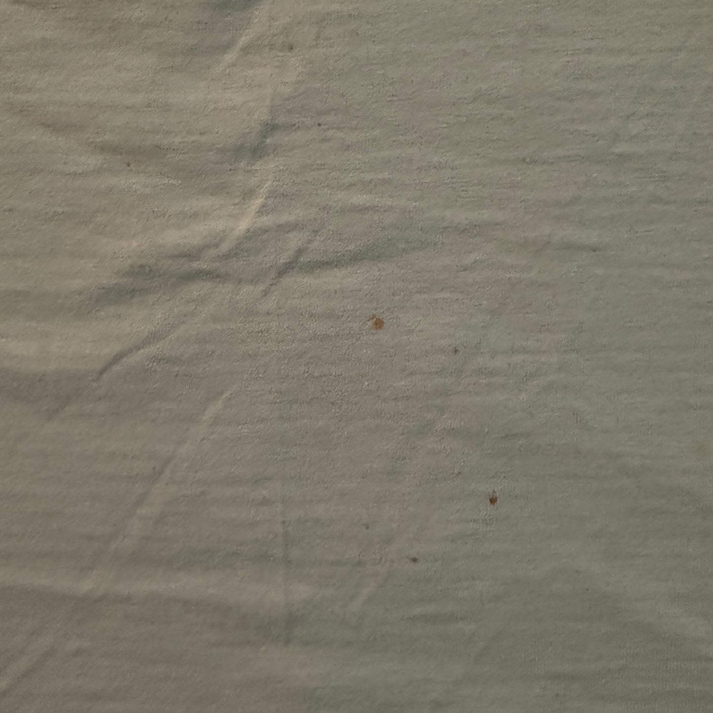 NOFX Band Liza 1996 Vintage Tan T-Shirt Size XL SIGNED BY THE BAND