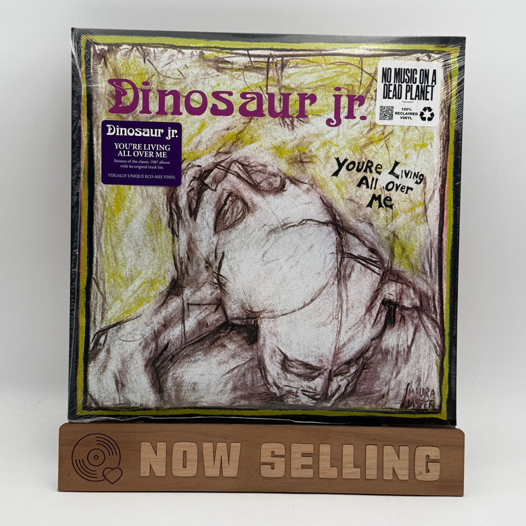 Dinosaur Jr. - You're Living All Over Me Vinyl LP Reissue ReVinyl