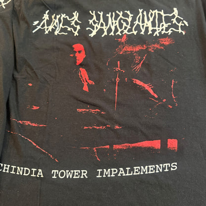 Ames Sanglantes Chindia Tower Impalements Long Sleeve T-Shirt Size M Hospital Productions Prurient