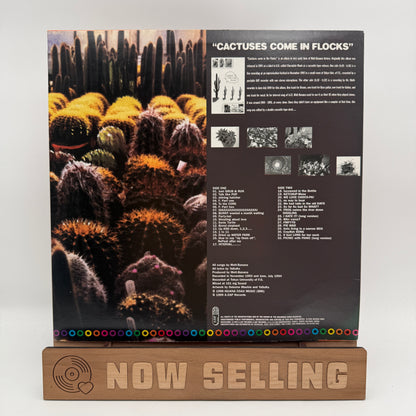 Melt-Banana - Cactuses Come In Flocks Vinyl LP Original 1st Press [SLEEVE DAMAGE]