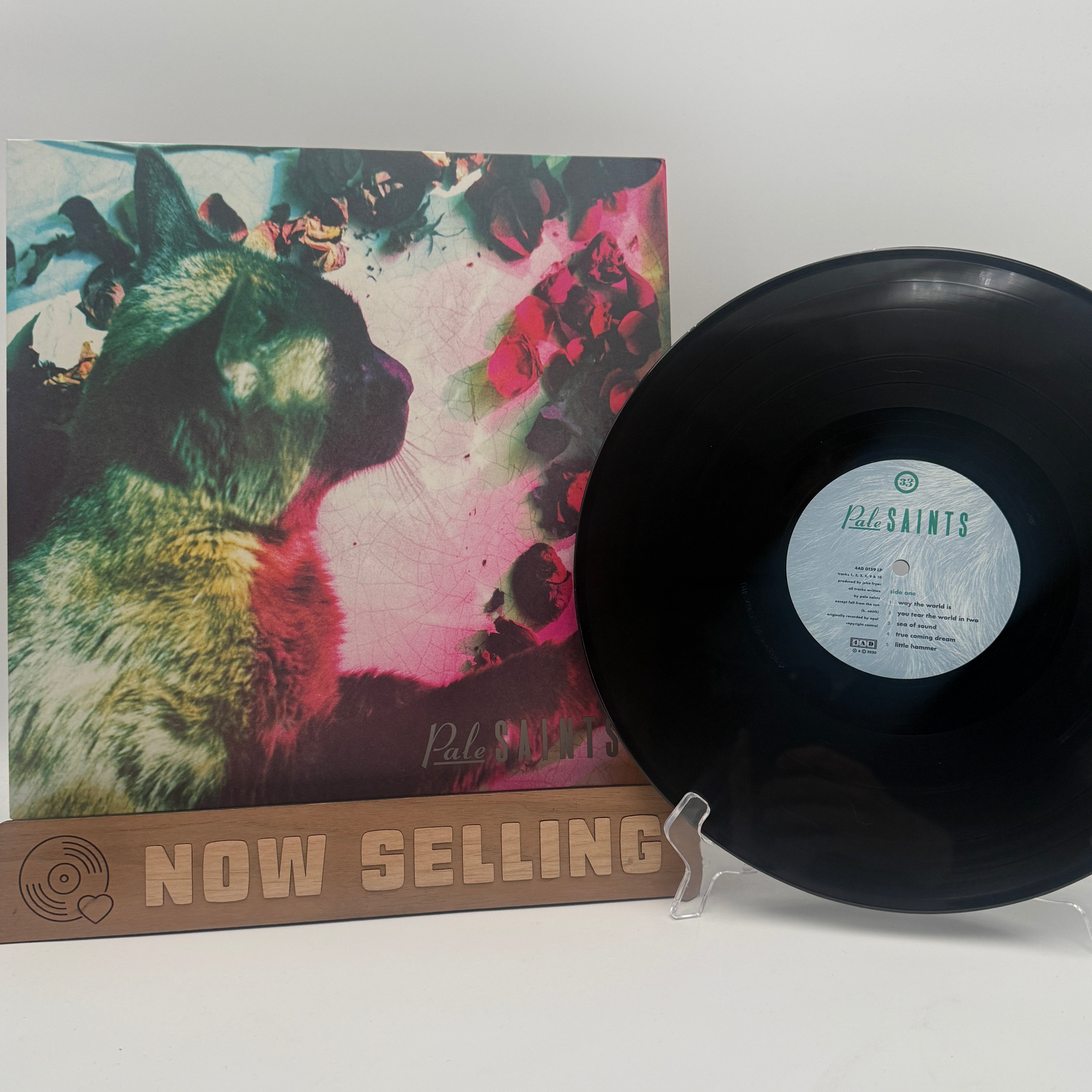 PALE SAINTS Find friend 12インチレコード PALE SAINTS Find friend 12インチレコード