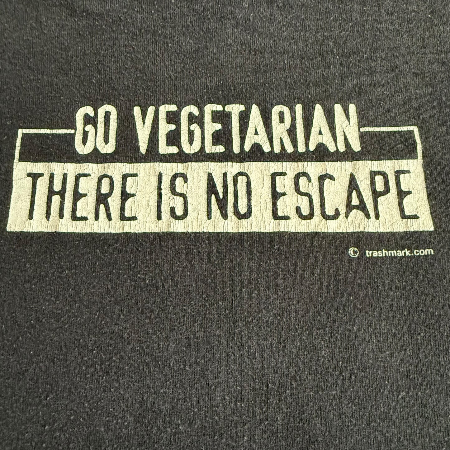 Good Riddance Band Go Vegetarian, There Is No Escape Vintage T-Shirt Size XL