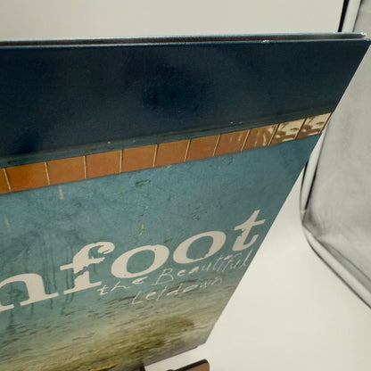 Switchfoot - The Beautiful Letdown Vinyl LP Blue Original 1st Press