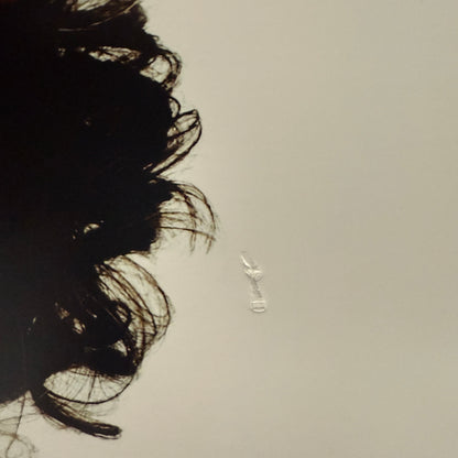 Regina Spektor - What We Saw From The Cheap Seats Vinyl LP