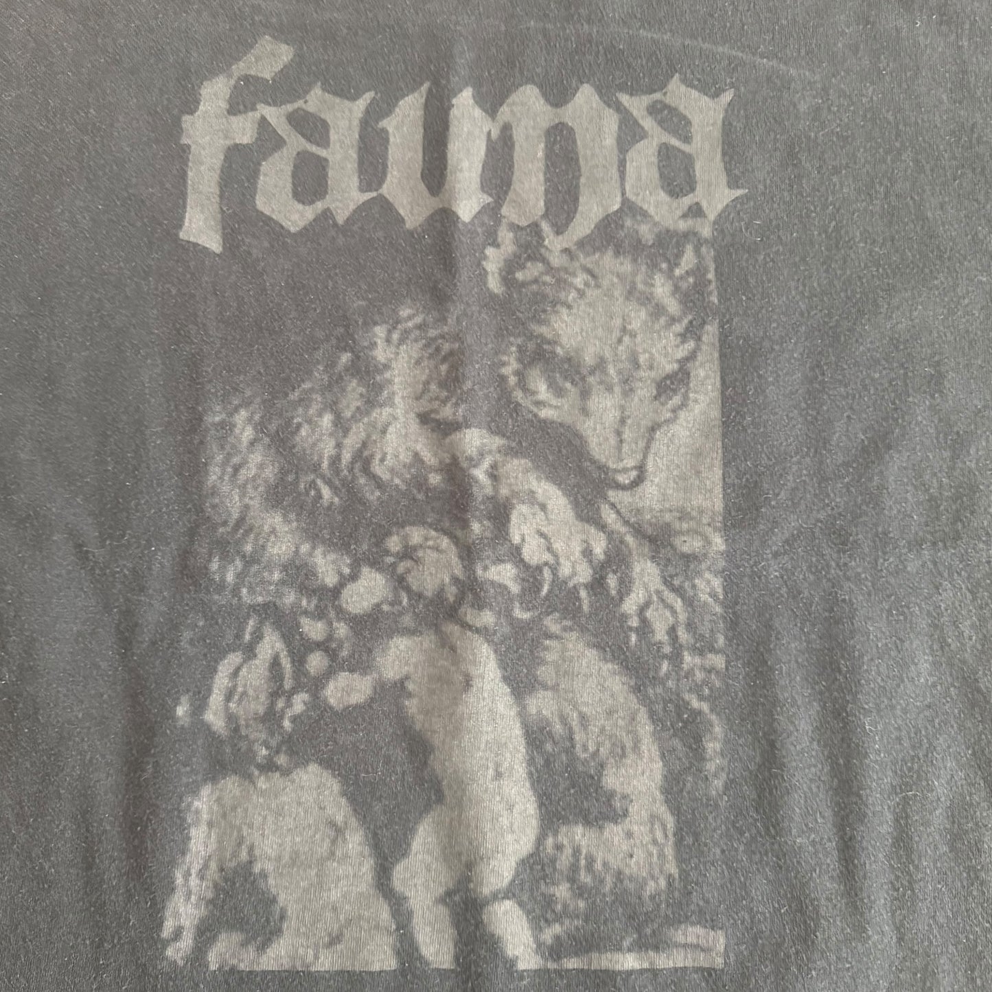 Fauna Cascadian Black Metal Band Rain Vintage T-Shirt Size L Avifauna