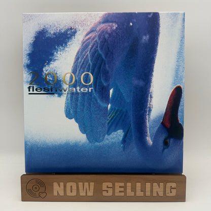 Fleshwater - 2000: In Search Of The Endless Sky Vinyl LP Iridescent White w/ Blue