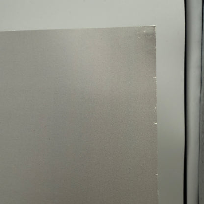 Carly Rae Jepsen - Dedicated Side B Vinyl LP SEALED w/ Signed Print