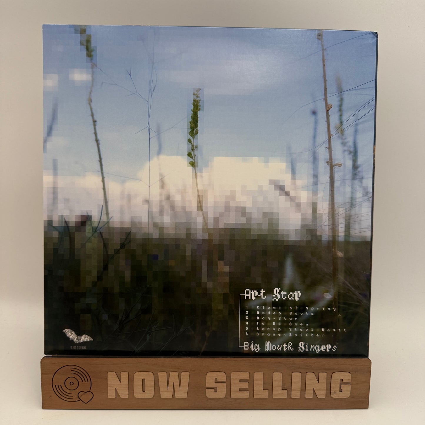 Art Star - Big Mouth Singers Vinyl LP Eco Mix