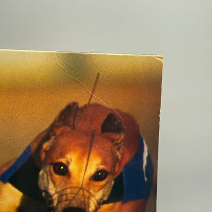 Blur - Parklife Vinyl LP Reissue Remastered 180 Gram