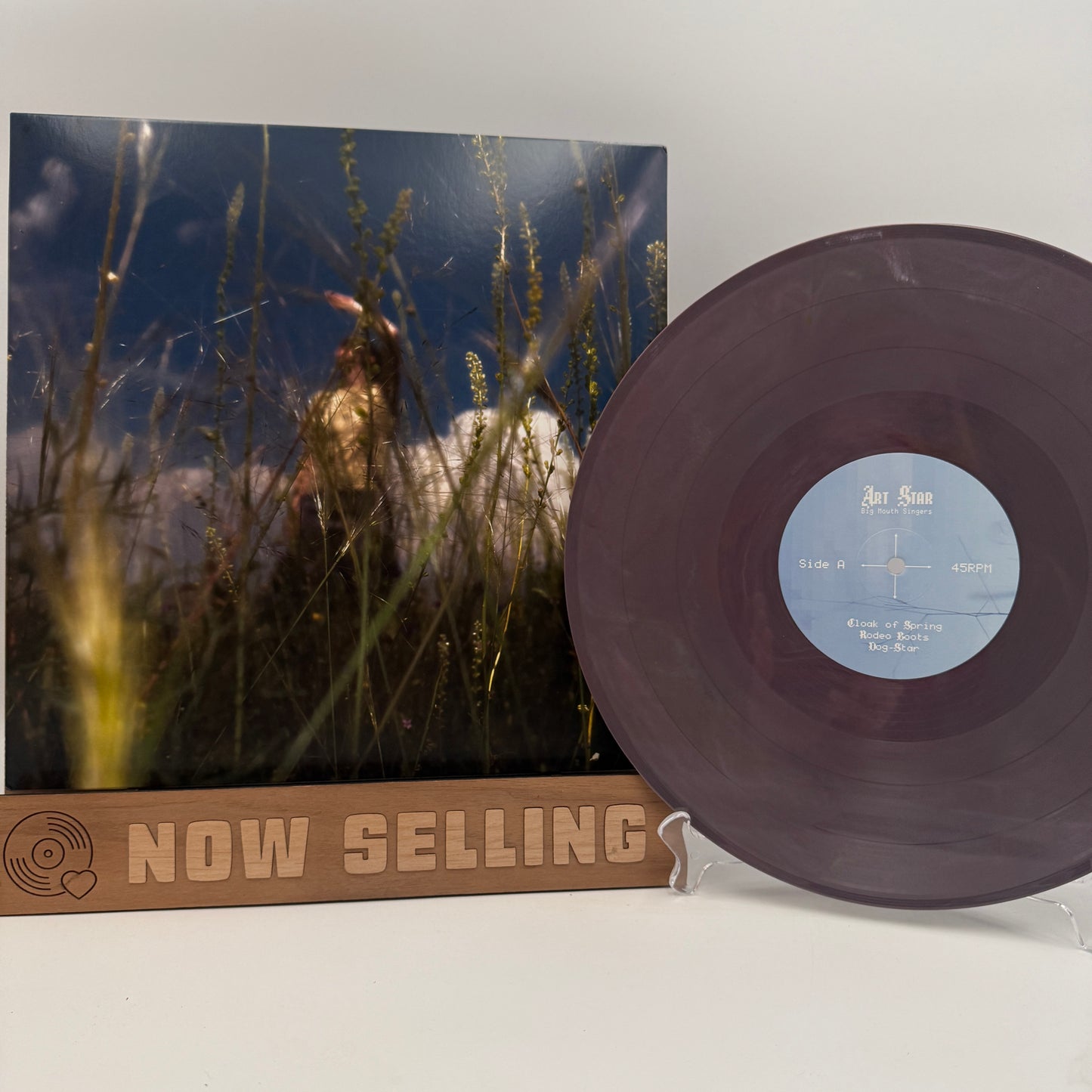 Art Star - Big Mouth Singers Vinyl LP Eco Mix