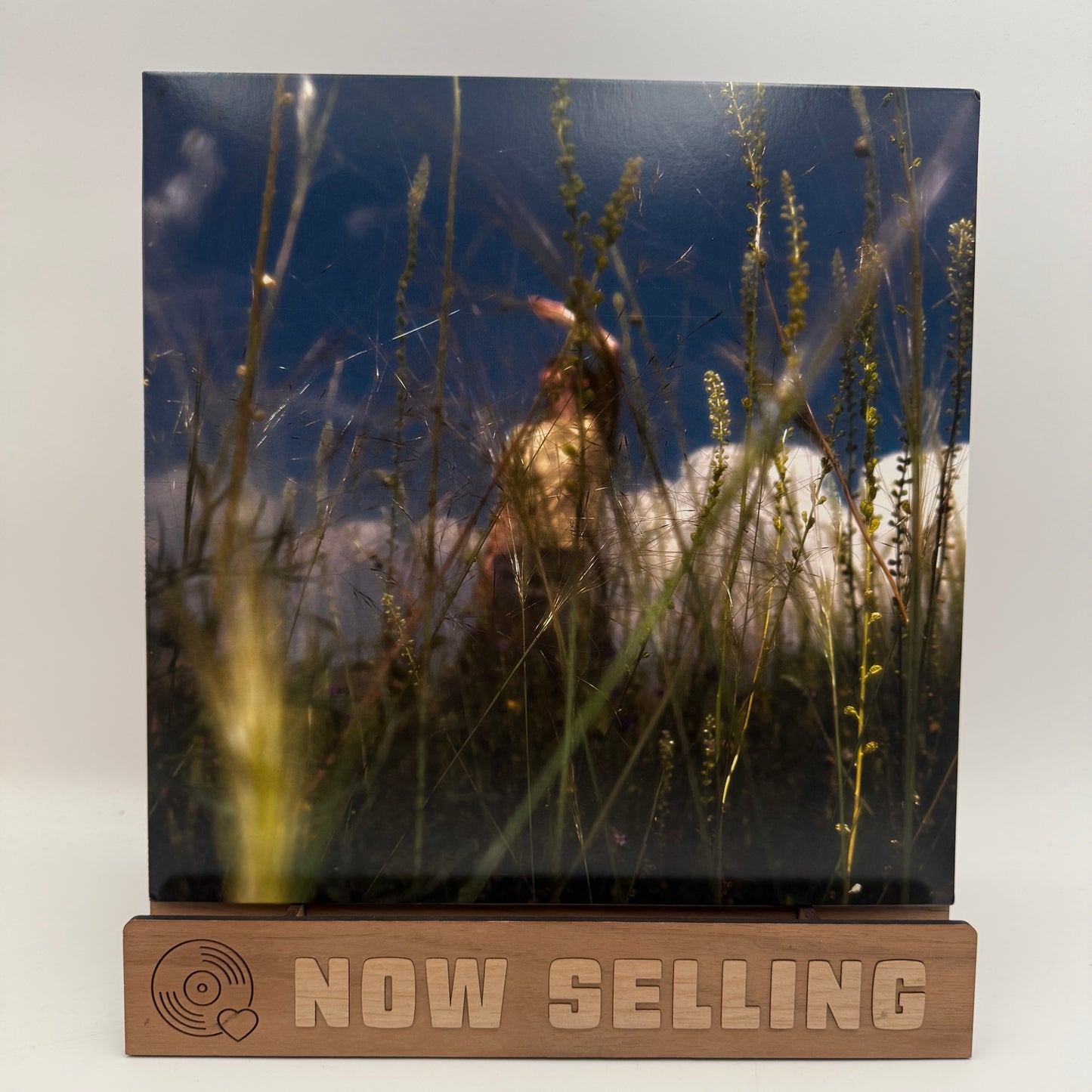 Art Star - Big Mouth Singers Vinyl LP Eco Mix