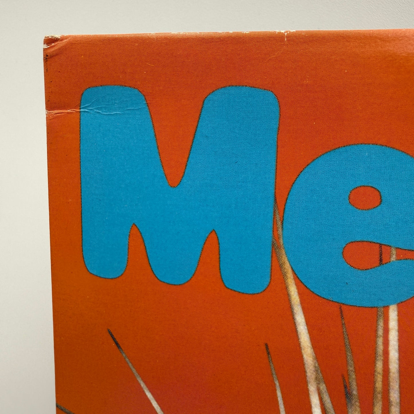 Melt-Banana - Cactuses Come In Flocks Vinyl LP Original 1st Press [SLEEVE DAMAGE]
